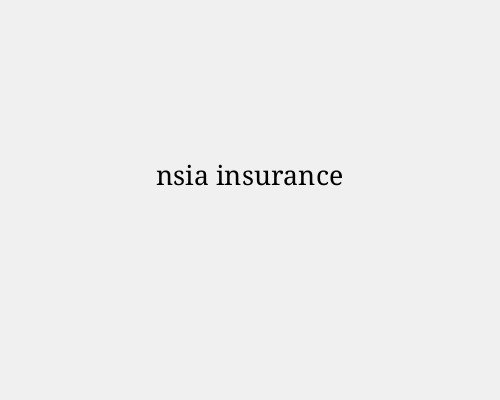 Products and Services Offered by NSIA Insurance